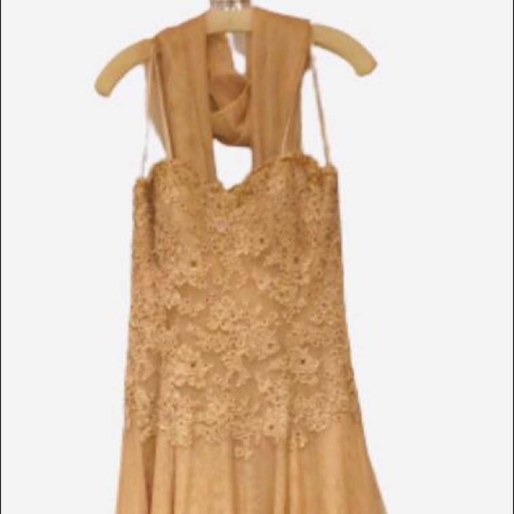 Rose Taft evening gown magnificent